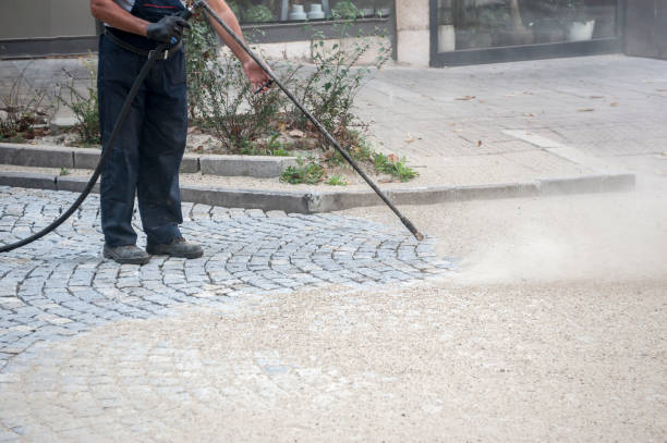 Best Animal Enclosure Cleaning  in Dallas, TX